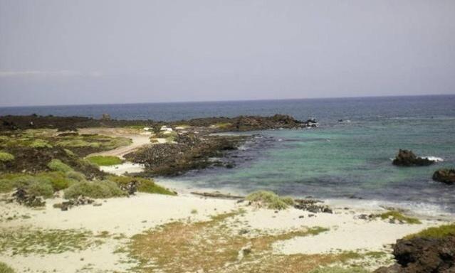Marisa Home Orzola Luaran gambar